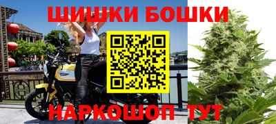 бошки Бийск