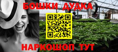 стафф Бийск