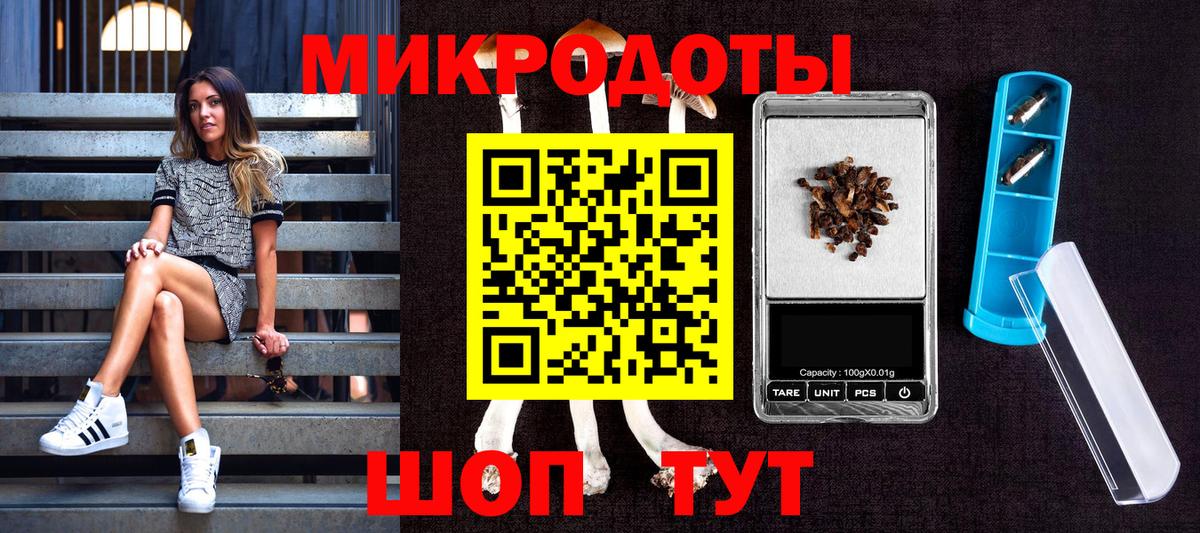 Галлюциногенные грибы прущие грибы  Вход с VPN  Елабуга 