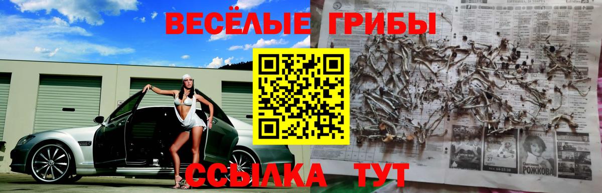 Псилоцибиновые грибы GOLDEN TEACHER  Псилоцибиновые грибы прущие грибы  Елабуга 